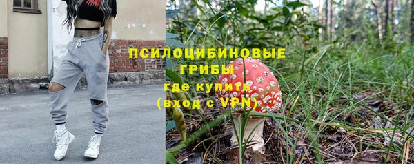 крисы Бугульма