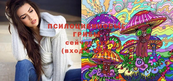 mdma Бородино